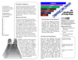 Classification Cornell Notes