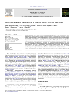 Increased amplitude and duration of acoustic stimuli enhance
