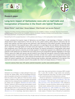Long-term impact of Ophiostoma novo-ulmi on