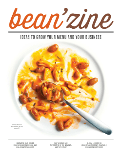 Beanzine by Bush`s Beans - Bush Brothers Foodservice