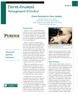 Estrus Detection in Farm Animals