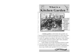 Kitchen Garden ?