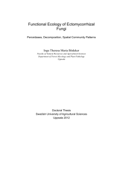 Functional Ecology of Ectomycorrhizal Fungi