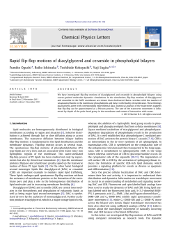 Rapid flip-flop motions of diacylglycerol and ceramide in