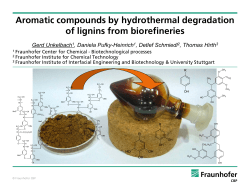 Structural properties of lignin