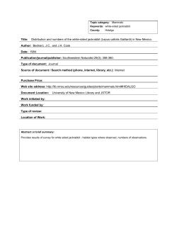 SW NM Catalog_Mammals
