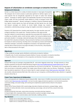 Impacts of urbanisation on vertebrate scavengers at estuarine