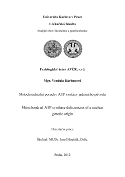 Mitochondrial ATP synthase deficiencies of a nuclear genetic origin