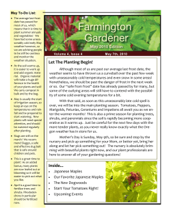 Let The Planting Begin! Inside