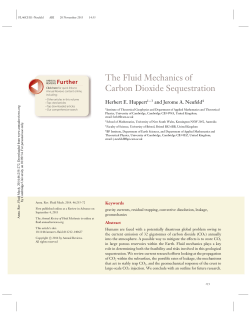 The Fluid Mechanics of Carbon Dioxide Sequestration