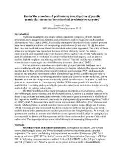 Tamin` the amoebae: A preliminary investigation of genetic