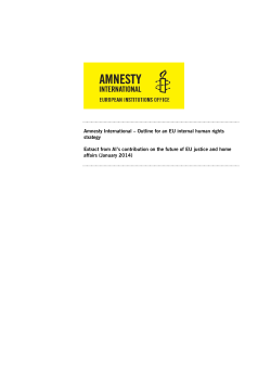 Amnesty International &ndash; Outline for an EU internal human rights