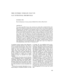 the enteric surface coat on cat intestinal microvilli