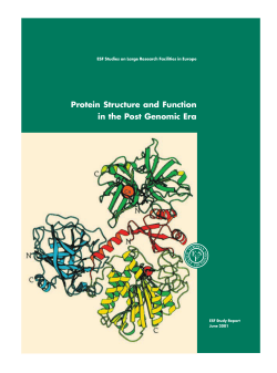 Protein Structure and Function in the Post Genomic Era