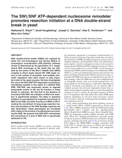 The SWI/SNF ATP-dependent nucleosome