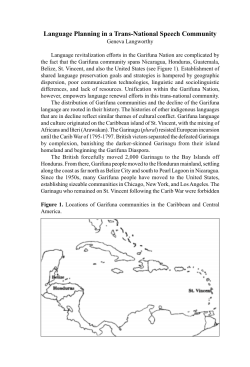 Language Planning in a Trans-National Speech