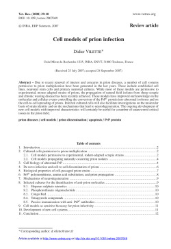 Cell models of prion infection