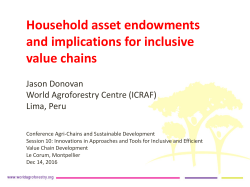 Household asset endowments and implications for inclusive value