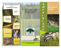 Amphibian Brochure - Heritage Conservancy