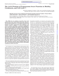 The 14-3-3 Proteins of Trypanosoma brucei
