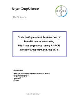 P35S-bar sqRT-PCR - PGS0494-476 310806 - EU