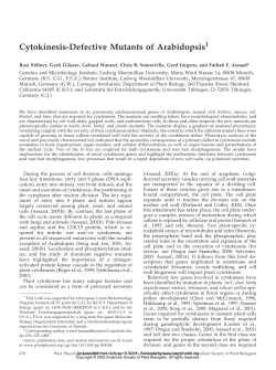 Cytokinesis-Defective Mutants of Arabidopsis
