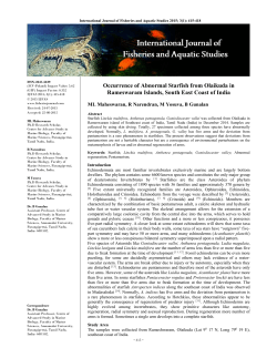 Occurrence of Abnormal Starfish from Olaikuda in Rameswaram