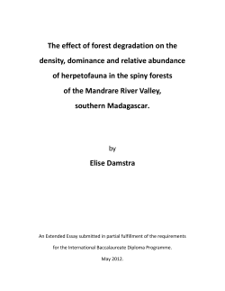 The effect of forest degradation on the density, dominance and