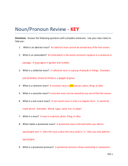 Noun/Pronoun Review - KEY