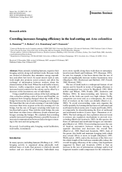 Crowding increases foraging efficiency in the leaf