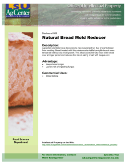 Bread Mold Flyer 0906p