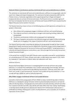 National Children`s Commissioner examines intentional self
