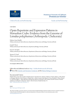 Evidence from the Genome of Limulus polyphemus (Arthropoda