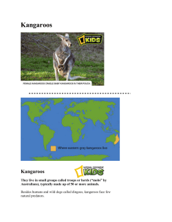 Send Kangaroos Grey with Map