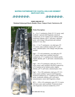 Pedon Description Report - Metric Units
