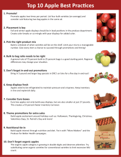 Top 10 Apple Best Practices