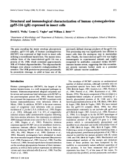 expressed in insect cells - Journal of General Virology