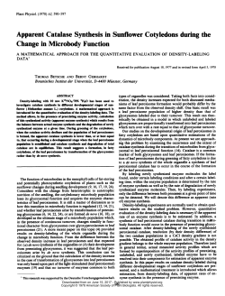 Apparent Catalase Synthesis in Sunflower