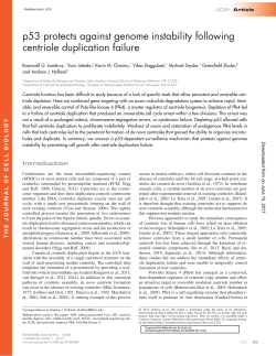 p53 protects against genome instability following centriole