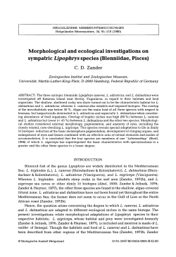 Morphological and ecological investigations on sympatric