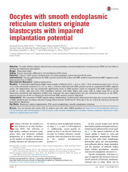 Oocytes with smooth endoplasmic reticulum clusters originate