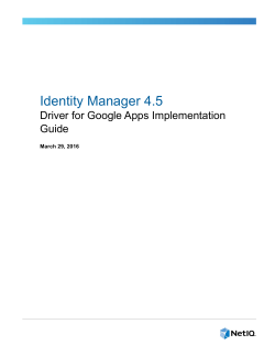 Identity Manager 4.5 Driver for Google Apps Implementation