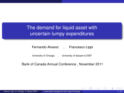 The demand for liquid asset with uncertain lumpy expenditures