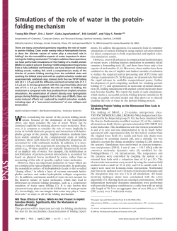 Simulations of the role of water in the protein