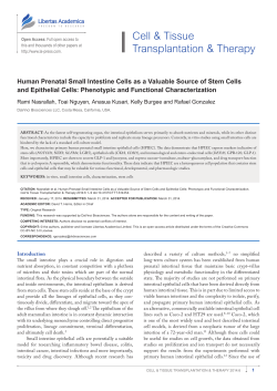 Human Prenatal Intestine Cells as a Valuable