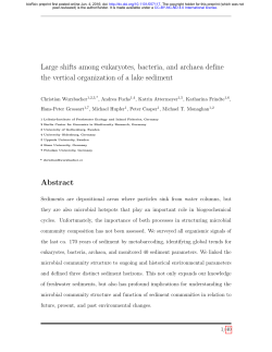 Large shifts among eukaryotes, bacteria, and archaea define the