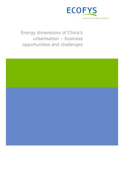 Energy dimensions of China`s urbanisation