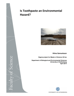 Is Toothpaste an Environmental Hazard?