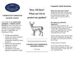 Deer, Oh Deer! What can I do to protect my garden? - E