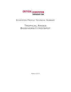 Tropical Andes Biodiversity Hotspot